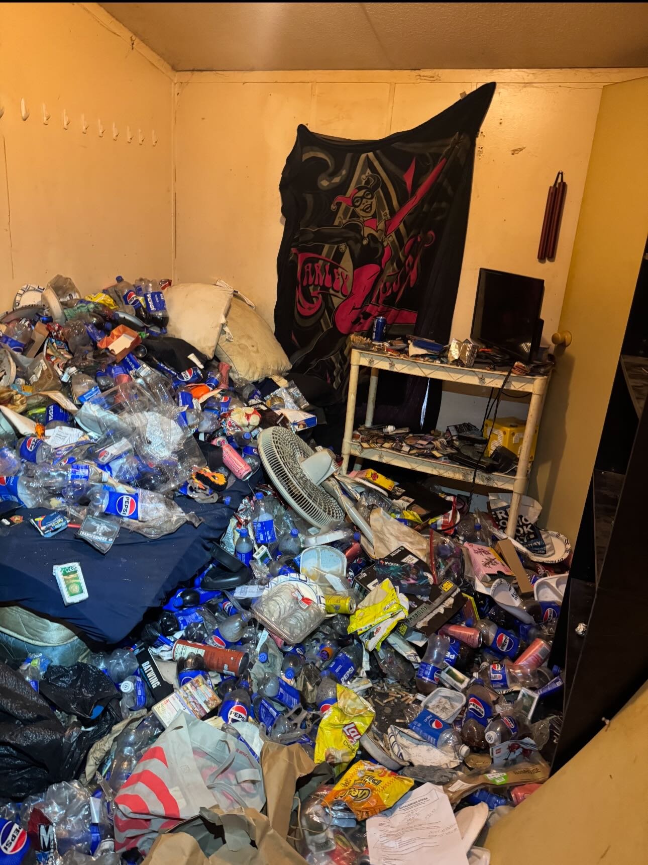 Trusted Household Junk Removal Services in Rotterdam, NY