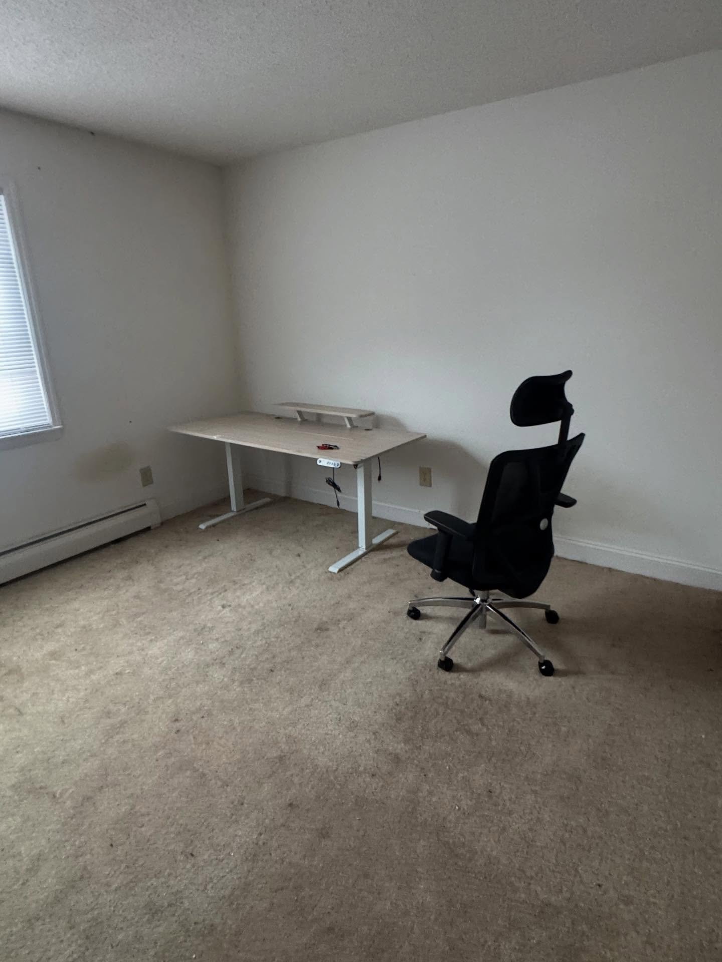 Compassionate Hoarder Assistance Services in Rotterdam, NY