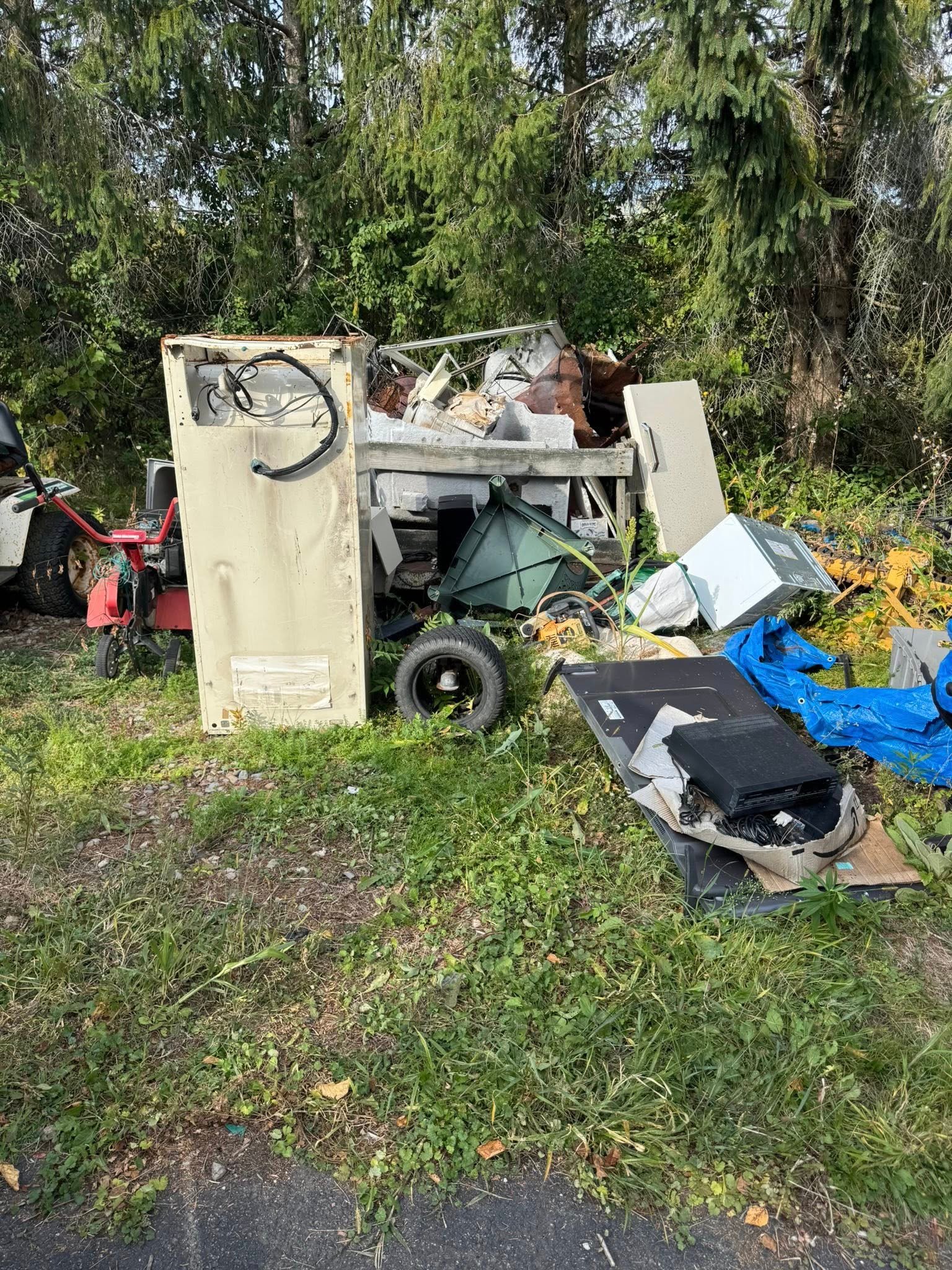 Professional Estate & Foreclosure Property Cleanout Services in Rotterdam