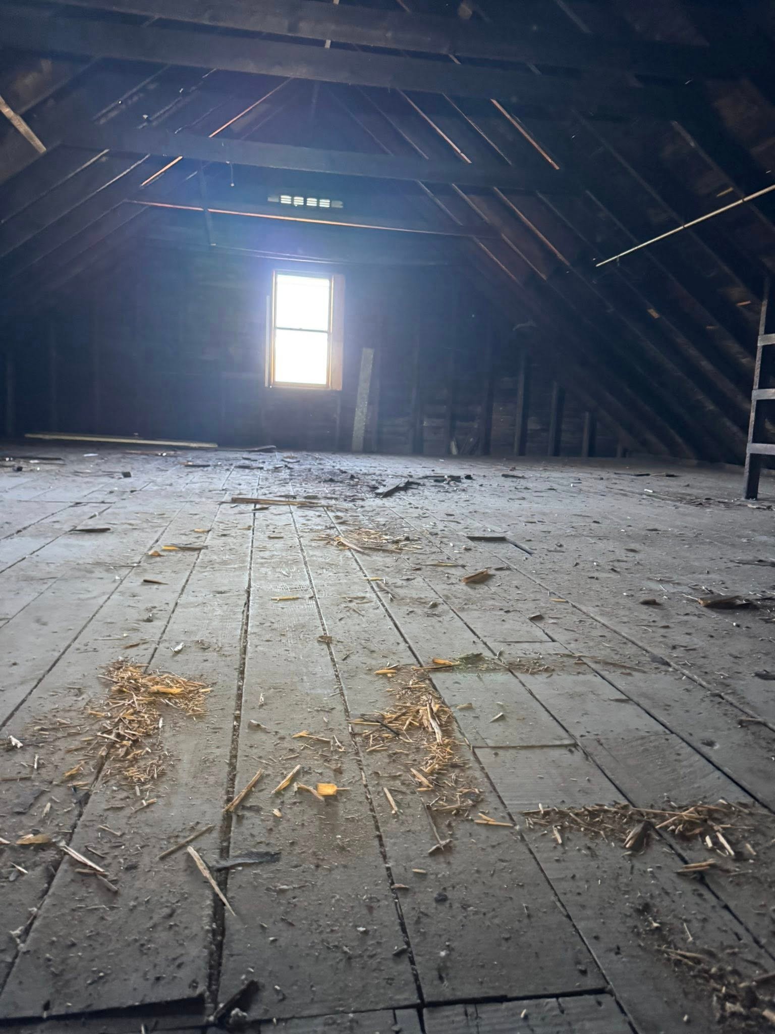 Rental Property Cleanouts in Rotterdam