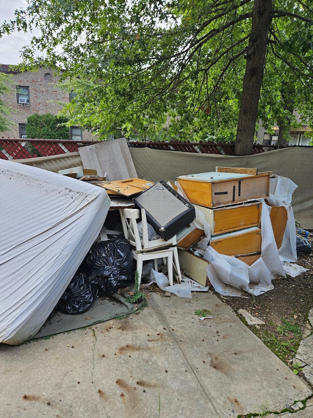 Reliable Junk Removal Services in Albany, NY